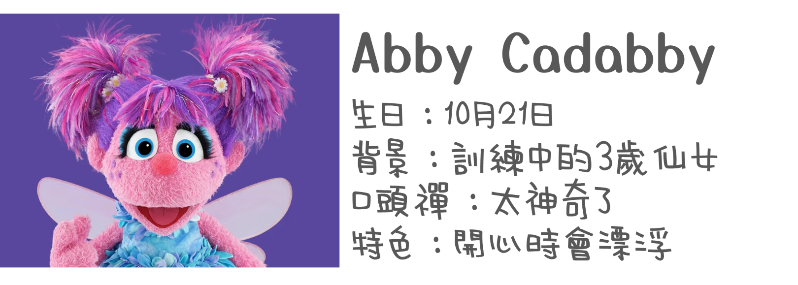 認識布偶-Abby