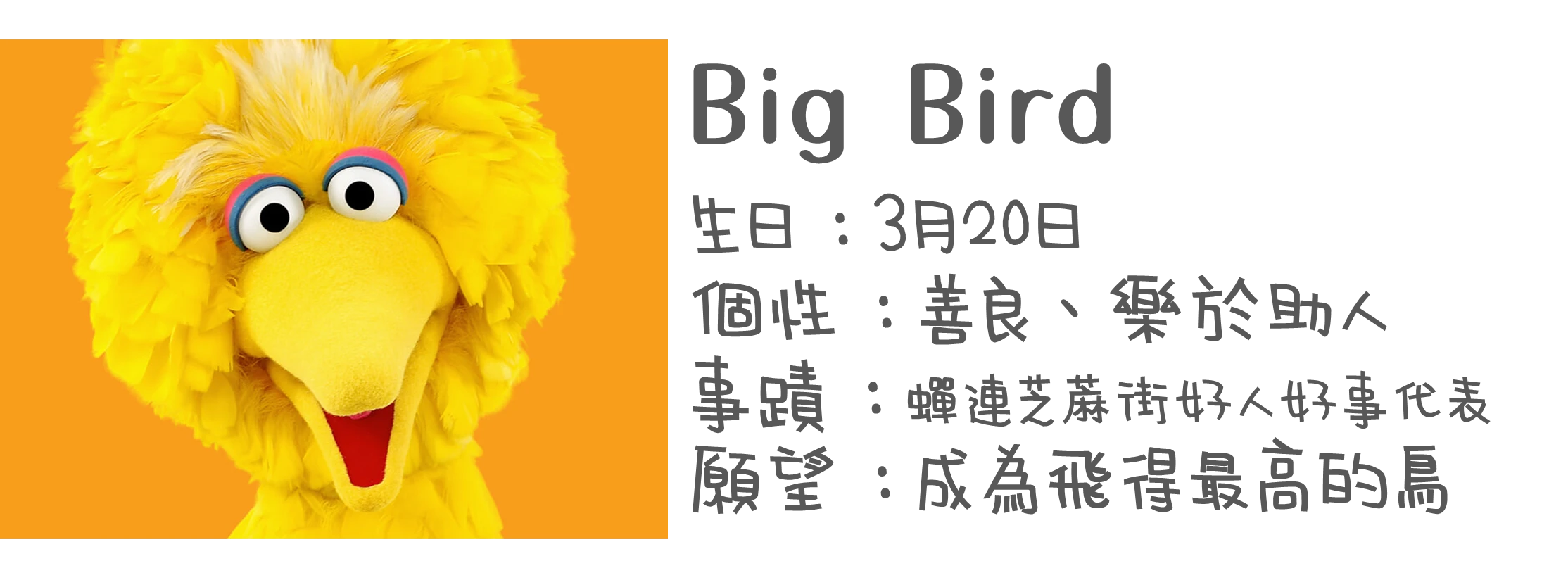 認識布偶-BigBird