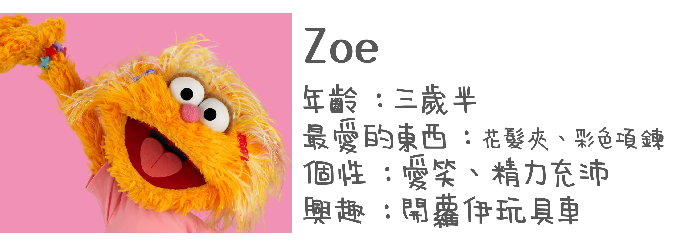 認識布偶-Zoe